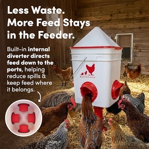 RentACoop Chicken 25lb No-Waste Feeder & 5 Gallon Automatic Waterer Set