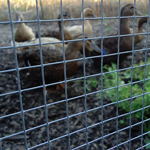 YARDGARD 1/2 Inch Mesh Welded Wire Fence, Hardware Cloth, 19 Gauge Galvanized Steel for Garden Protection, Cage Fencing, Chicken and Rabbit Barriers, and Crafts, 24 Inches x 50 Feet - size: 24 Inches x 50 Feet
