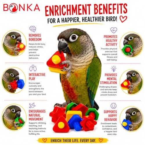 3505 Pk6 Huge Nuts and Bolts Colorful Enticing Large Screw Interactive Foot Beak Throw Parrot Cockatoo Amazon African Grey Macaw Hyacinth