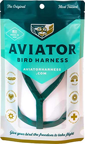 The AVIATOR Pet Bird Harness and Leash: Petite Green - color: Green, size: Petite