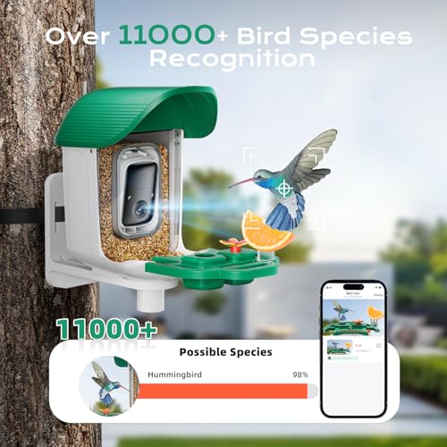 Bird Feeder with Camera Solar Powered, 2K HD Birds Feeder Camera for Outdoors, Instant Motion Detection & Alerts, AI Smart Identify Birds Species, Gifts for Mom Dad and Bird-Lovers(Green) - color: Green