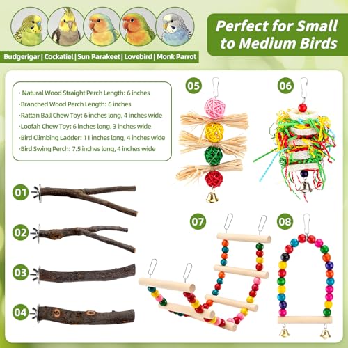 8 Pcs Natural Wood Bird Toys & Perches Set for Cages | Ideal for Small/Medium Parrots (Budgies, Conures) | Birch Ladder, Swing and Foraging Items for Cage Gym | Tool-Free Mount - size: Bird Toys & Perches Set
