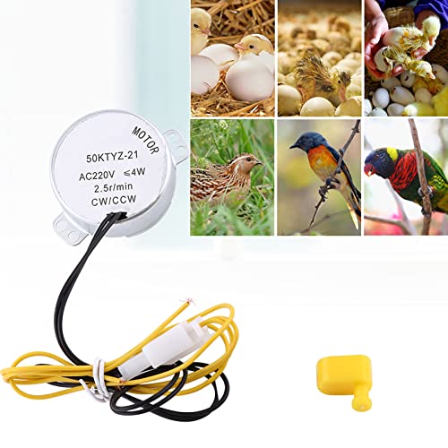 Joyzan Egg Turner Motor, AC Chicken Rotator Incubator Automatic Turntable | Hatching Tool Small Guide Accessory Connector CW CCW Dual Working Modes Incubating Electric Ducks Goose Bird Tray Quail 220V