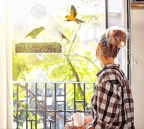 2 Pack Window Bird Feeder for Outdoors Clear Feeders Window Mounted with Strong Suction Cups Fummingbird Feeder Acrylic Birdfeeders for Viewing Wild Birds Outside, Interactive Cat Toys
