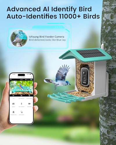 Smart Bird Feeder Camera (Dual Panel), Solar Powered, Identify 11,000+ Birds with AI, Auto Capture & Notify, 2K HD Footage, Outdoor Bird Watching, Ideal Gift for Birds Lovers. - color: Forest green