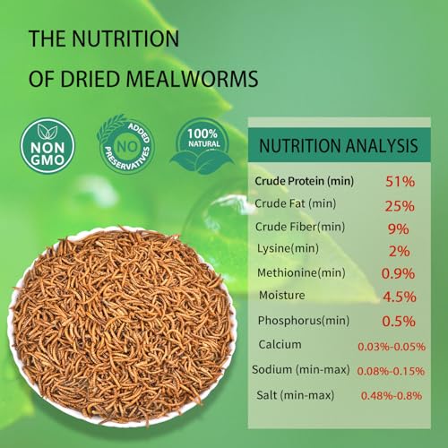 Dried Mealworms 10LB Pure Natural Chicken Treat for Laying Hens Wild Bird | NON-GMO High Protein - size: 10 Pound (Pack of 1)