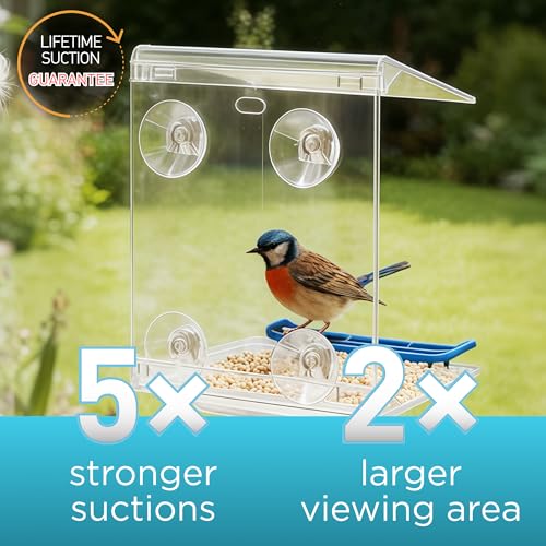 Window Bird Feeder for Outdoors with Strong Suction Cups,Sturdy and Durable Acrylic Birdfeeders for Viewing Wild Birds Outside,Mount On Window/Wall/Bird Pole Kit