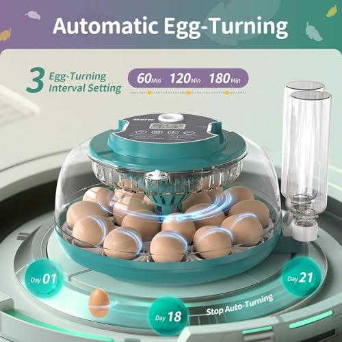 Automatic Egg Hatcher with LED Screen, Large Egg Incubator with Adjustable Turning & Humidity System, Transparent Lid Incubator for Chicken, Quail and Poultry Eggs (Holds 18 Eggs)