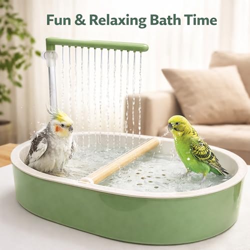Indoor Bird Bath Fountain, Dual Rainfall Parrot Shower with Anti-Clog Pump & Filter Sponge, Adjustable Water Flow, Natural Beech Wood Perch, Bird Shower Spa for Parakeet, Cockatiel, Lovebird