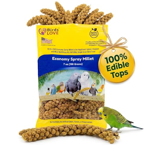 Birds LOVE Economy Spray Millet for Birds, 7 oz, GMO-Free Natural Millet Spray Treat, Stem-Reduced Edible Tops, Grown in USA, for Parakeets, Cockatiels, Lovebirds, Finches, Canaries & Small Parrots