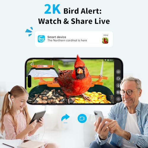 Bird Feeder with Camera and Bath, Dual-Lens 2K HD Video, AI Bird Identification, Solar Powered, Instant Alerts, IP66 Weatherproof - color: Deep green