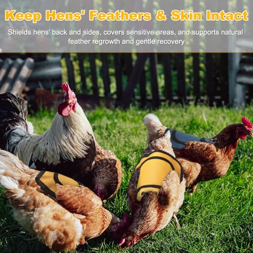 M METERXITY 4-Pack Chicken Saddle for Hens, 9.8 Inch Canvas Chicken Apron Back Protector with Adjustable Strap for Protecting Bird Back Feathers, Poultry Saver [Mixing 4 Styles D] - color: Navy Blue/Magenta/Yellow/Gray