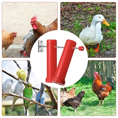 Reallnaive 3 Set Chicken Treat Dispenser Wall Mounted Chicken Feeder Accessories Hanging Treat Dispenser for Indoor Outdoor Coop Hens Poultry Duck Birds