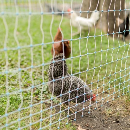 Starkline 48" x 164' Premium Electric Poultry Netting Solar Kit | White/Blue All-in-One Solar Electric Fence Kit for Backyards, Homesteads, Farms, and Ranches