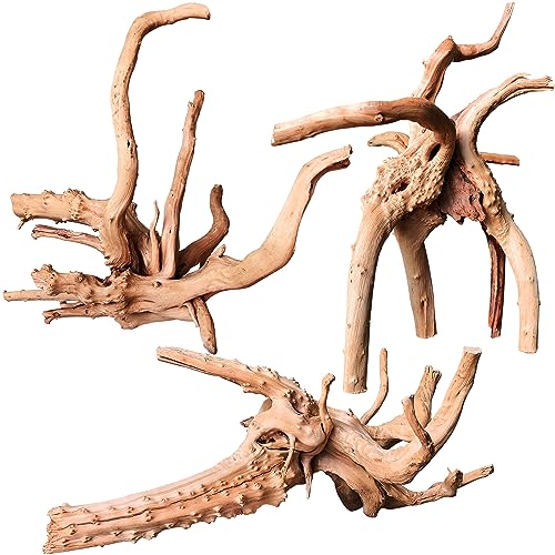 majoywoo Natural Driftwood for Aquarium Decor Fish Tank Decor Reptile Decor | Assorted Driftwood Branch, Natural Driftwood for Aquascaping and Reptile Decor - size: Spiderwood 7 to 11 Inch(Pack of 3)