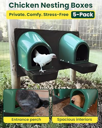 Roll-Out Chicken Nesting Boxes - 5-Pack Plastic Nest Boxes for Chickens, Hens & Ducks - Egg Laying Boxes with Perch and Roll Away Egg Collection for Coop - color: Chicken Nesting Box(5packs)