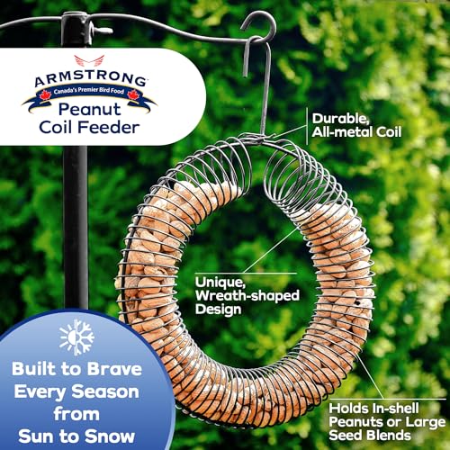 Armstrong Wild Bird Food Wreath-Shaped Peanut Feeder - Durable Metal Hanging Coil Feeder for Blue Jays & Nut-Loving Birds - Holds Peanuts in Shell for Outdoor Birdwatching and Wildlife Feeding - style: Peanut Coil