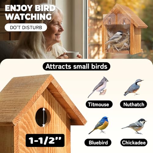 Window Bluebird House for Outside, Birdhouses with Weather Treated | 2 Hanging Hooks, Simple Installation, Easy to Clean, Outdoor Placement, Wild Bird Watching, for Garden, Patio, Fence