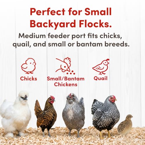 RentACoop Chick2Chicken 5lb 2-Port Feeder and 1-Gal Small Cage Waterer Set