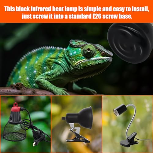 Mini Reptile Heat Lamp Bulb Ceramic Infrared Heat Emitter 4 Pack E26 | E27 No Light for Bearded Dragon Gecko Turtle Lizard Snake Chicken Brooder Nocturnal Terrarium Chameleon (50 Watts)