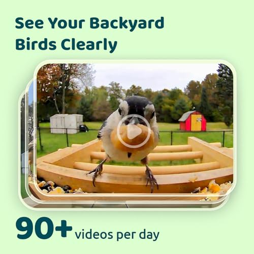 NETVUE by Birdfy Bamboo Bird Feeder with Camera Solar Powered,2K Live Stream&Lifetime AI Bird Identification&Motion Detection,birdswatching Ideal Bird Feeder Gift for Moms and Bird Lovers - style: AI Permanent Service