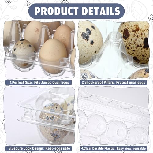 60 Pcs Giant Quail Egg Cartons 12 Grids Clear Plastic Stackable Trays for Jumbo Quail Eggs, Pigeon Eggs, Small Poultry, Great for Home Fridge Storage, Farm, Market, Gift Box Packing