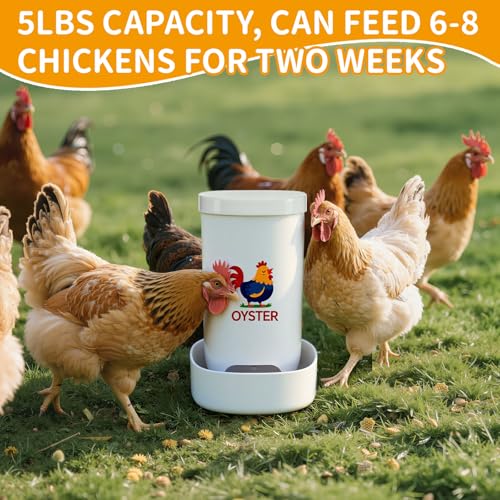 FoldTier 2 Pcs Chicken Oyster Shell Feeder and Grit Feeder for Quail, Pigeons, Doves, Chicks, Chicken Coop Accessories for Rust Prevention Comes with Installation Tools
