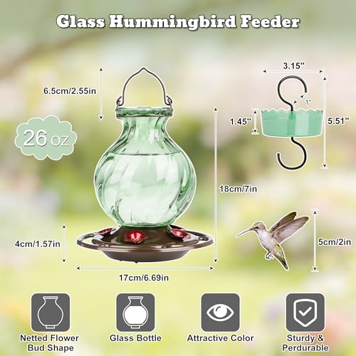 Auslar Glass Hummingbird Feeders for Outdoors Hanging, Green, 26 Oz | Hummingbird Feeder with Ant Proof Moat, 5 Bee Proof Feeding Ports, 360°Perch, Leak-proof, Outside Garden Backyard Decor - color: Green