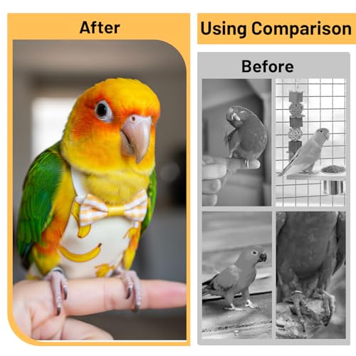 Bird Diaper, 6Pcs Reusable Parrot Diapers with Waterproof Inner (Medium) | Washable Parrot Diapers for Indoor Parakeet Lovebird Canary