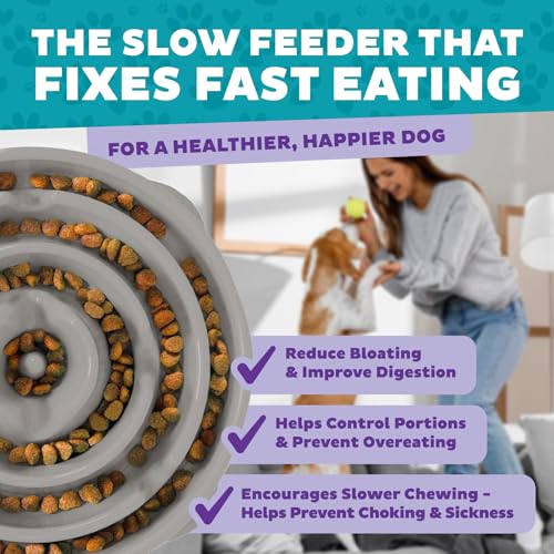Outward Hound Fun Feeder Slo Bowl – Large 4‑Cup Capacity,Slow Feeding,Medium to Large Dogs,Non‑Slip,Gray,Drop Pattern,(Pack of 6) - color: Gray, size: Large (Pack of 6)
