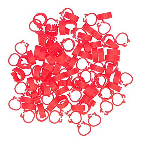 Omabeta Pigeons Foot Ring, Durable Plastic Easy-to-Install Compact Design, Identification Leg Rings, for Pigeon Identification, Red, 8mm, 100 Pieces - color: Red