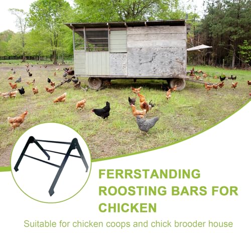 Chicken Roosting Bars for Coop – Adjustable Stainless Steel Chick Perch and Ladder for Poultry, Chicks and Birds, Easy to Install and Clean, Ideal for Coops, Farms, and Backyard