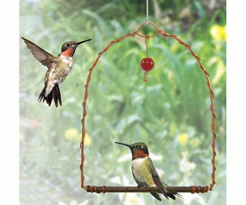 Sehhhums Copper Hummingbird Swing, Set of 1