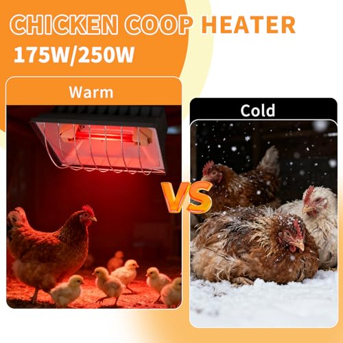 250W Chicken Coop Heat Lamp with Guard & Adjustable Temp | Adjustable 175W/250W infrared heater with safety guard. For chicks, poultry, livestock & small pets. Durable brooder heating. - size: 1 Pack
