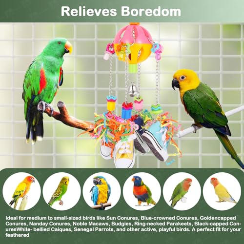 Small and Medium-Sized Bird Toys, Parrot Chewing Sneakers Acrylic Amazon Parrot, Love Birds, Parrot, Parrot, Bell Ball Birdcage Toys.