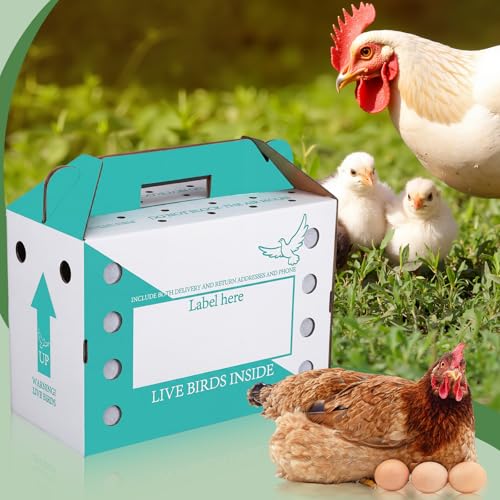 15 Pack Single Live Chicken Shipping Boxes 17.5 x 8.5 x 11.5" Live Bird Shipping Boxes Cardboard Pet Carrier with Handle for Poultry, Pigeons, & Canaries (Green) - color: Green