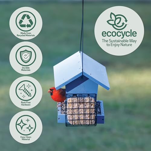 Hopper Hangout Recycled Plastic Hopper Bird Feeder with Latching Suet Cages & Fresh Seed Tray for Wild Birds and Outdoor Décor, 3 Quart Capacity, 2 Suet Cake, Blue