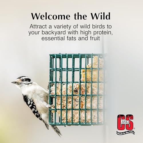 C&S Suet Variety Value Pack, Peanut Delight Dough & Berry Treat, Wild Bird Food, Year Round Source of Energy for Birds, 24 Pack