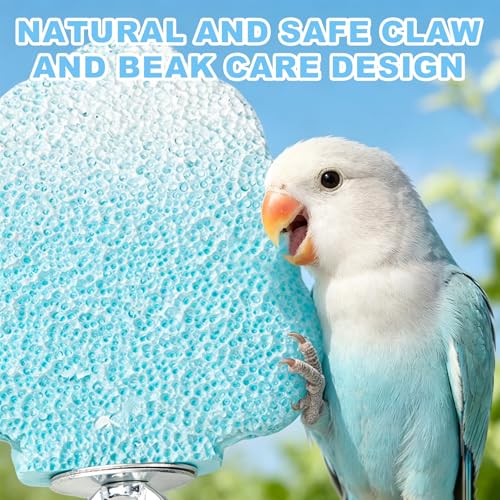 3pcsRainbow Cloud-Shaped Bird Perch Platform + Beak Conditioning Stone + Stainless Steel Feeder,Parrot Perch for Cage Volcanic Rock Mineral Bird Perch,for Parakeets,Cockatiels,Lovebirds（Blue） - color: H