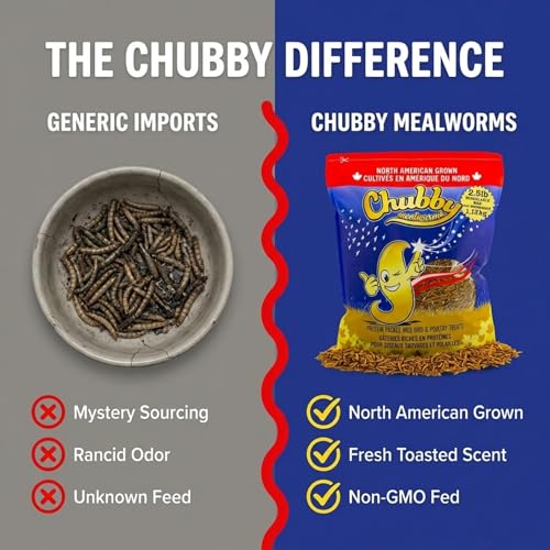 Chubby North American Grown Dried Mealworms | 2.5 lbs | Non-GMO High-Protein Treats for Chickens, Ducks & Wild Birds – Sustainable Chicken Feed | Non-GMO, High-Protein - size: 2.5 Pound (Pack of 1)