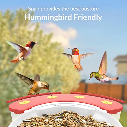 NETVUE Hummingbird Feeder Perch, Compatible with Birdfy, Attract Hummingbirds, 18.3 oz Capacity, 2 in 1 Bird Feeder, Ideal Gift for Hummingbird Lovers