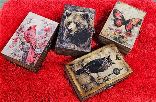 RK Collections Cardinal Trinket Box Small Jewelry Keepsake Box | Bird Lovers Gift Idea, Animal Lovers Case/Holder. (6.5") (Cardinal) - style: Cardinal