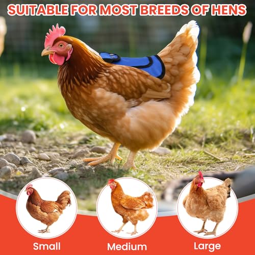 6 Pcs Chicken Saddles for Hens, Chicken Aprons & Protection Saddle for Hens | Adjustable Hen Back Protector Chicken Saddles for Feather Loss, Laundry Bag Included