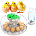 Okkobi M12 Egg Incubator with Automatic Turner and Humidity Control - 12/24 Eggs, 360° View, Easy to Use and Clean - Incubadora de Huevos de Gallina - Made for US - White & Green - color: Green