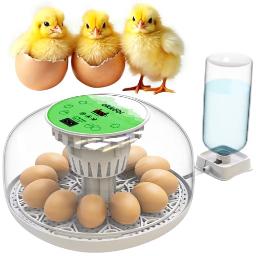 Okkobi M12 Egg Incubator with Automatic Turner and Humidity Control - 12/24 Eggs, 360° View, Easy to Use and Clean - Incubadora de Huevos de Gallina - Made for US - White & Green - color: Green