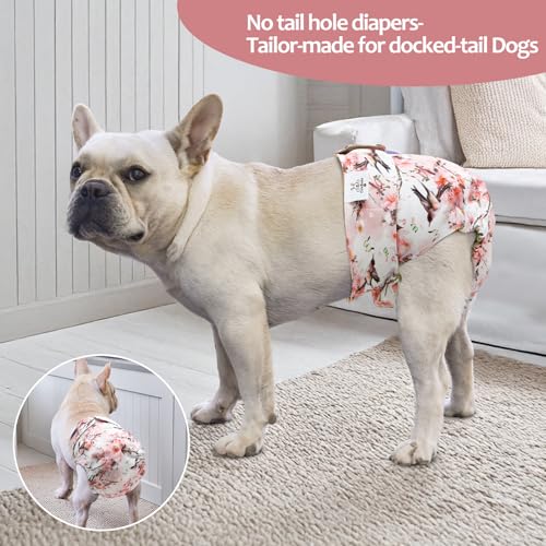 CuteBone Washable Dog Diapers Female No Tail Hole 3 Pack Reusable Doggie Period Training Pants for Docked-Tail Frenchie French Bulldog Boston Terrier Without Tail WWD30XS - size: XS