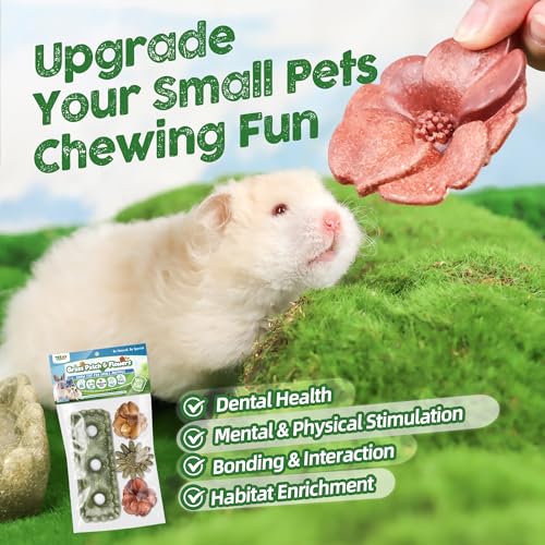 TEEWY Guinea Pig Chew Toys, Prevent Teeth Overgrowth, Natural Timothy Grass & Vegetables, Hamster Chew Toys, Guinea Pig Toys, Chinchilla Toys, 4PCS, Grass Patch & Flowers - style: 4PCS-Grass Patch & Flowers