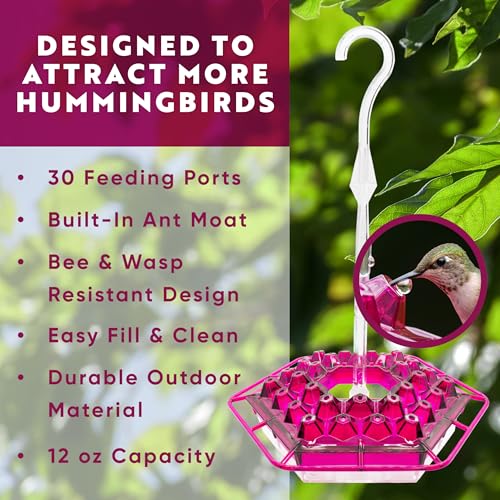 Lil Sweety Hummingbird Feeder for Outdoors Hanging, 12 oz Leak-Proof Nectar Feeder with 30 Feeding Ports, Built-in Ant Moat & Bee Guard, Easy Fill & Clean for Patio, Porch, Garden, USA Made, Fuschia - color: Fuschia