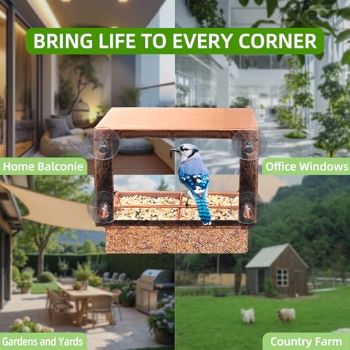 Window Bird Feeder Metal Bird Feeder for Outdoors Birdwatching | with 4 Strong Suction Cups and Adhesive Hook, Sturdy Rust-proof Gifts for Cats & Nature Lovers