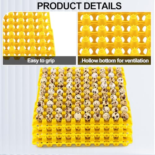 Teenyyou 10 Pcs 90 Egg Plastic Trays Quail Egg Flats Holder for Quail Pigeon Dove Bird Flat Carton (Yellow) - color: Yellow